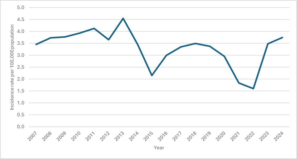 The figure above shows the rate per 100,000 people admitted to hospital with rheumatic fever for the first time from calendar years 2007 to 2024.