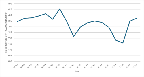 The figure above shows the rate per 100,000 people admitted to hospital with rheumatic fever for the first time from calendar years 2007 to 2024.