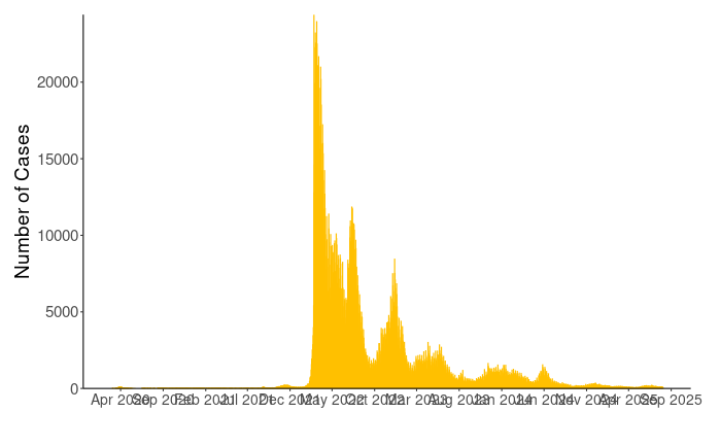 New COVID-19 cases reported each day