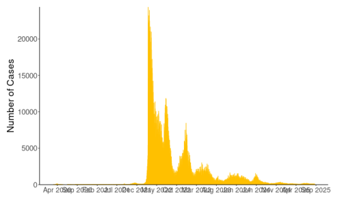 New COVID-19 cases reported each day