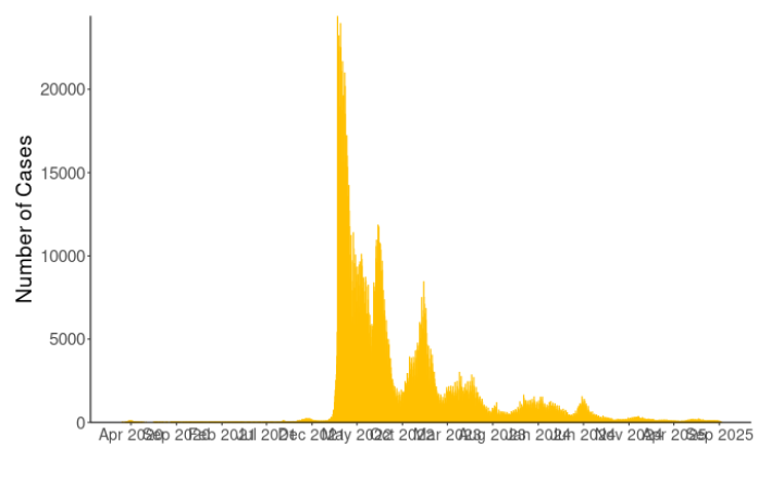 New COVID-19 cases reported each day
