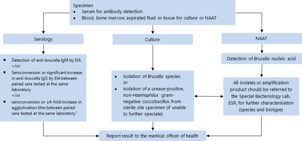 flowchart for Brucellosis