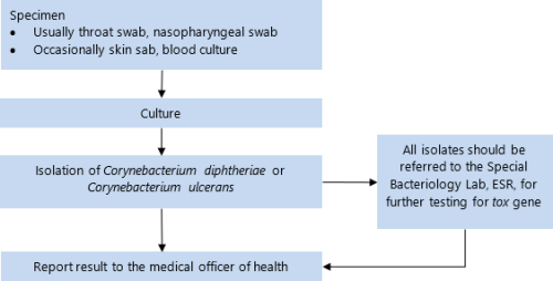 flowchart for Diphtheria