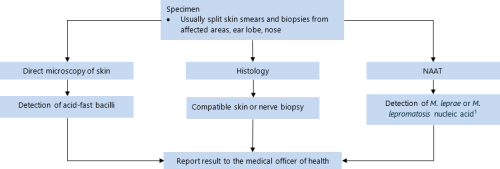 flowchart for Leprosy