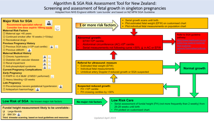 Algorithm and SGA risk assessment tool