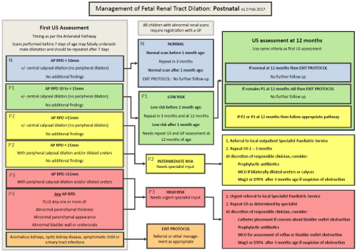 A chart showing management of postnatal fetal renal tract dilation