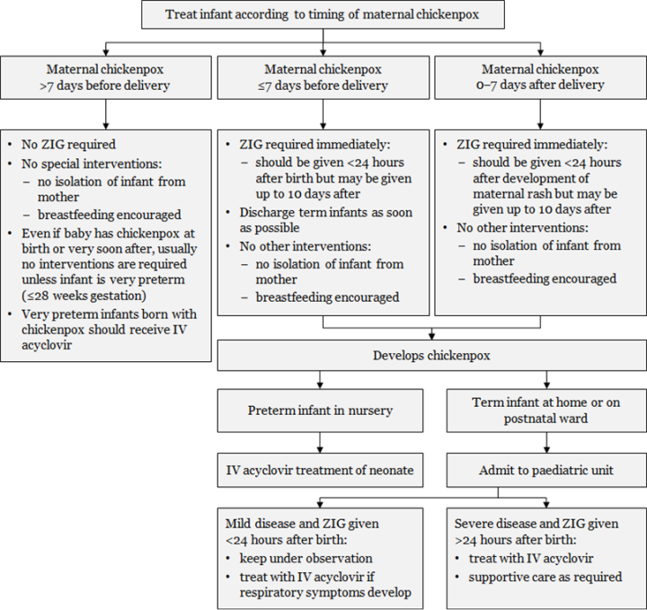 Figure 22.2: Management of infants from mothers with perinatal varicella or zoster
