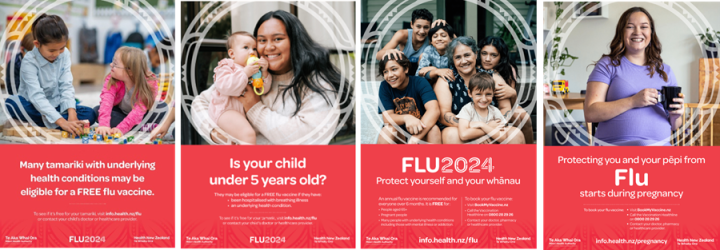Flu 2024 poster