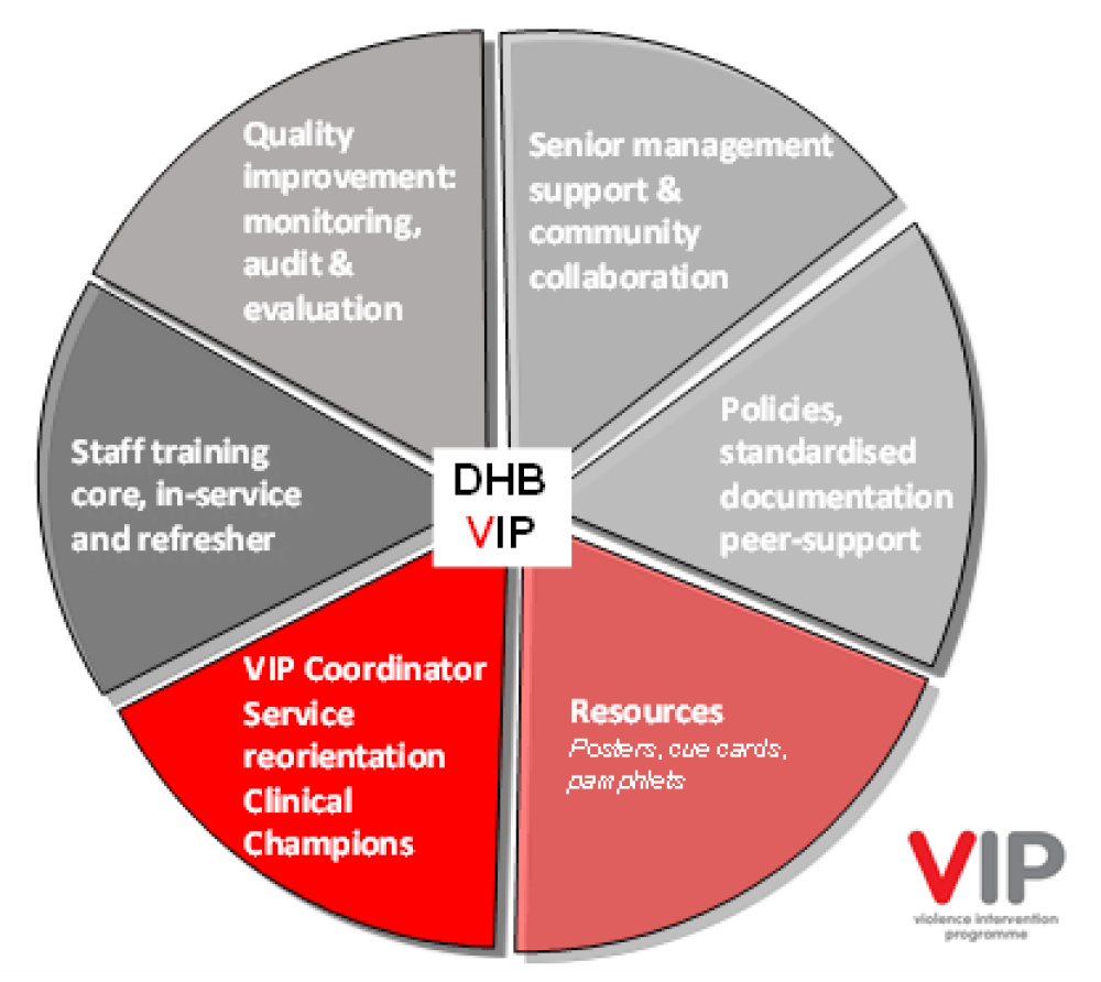 pie chart showing DHB systems infrastructure