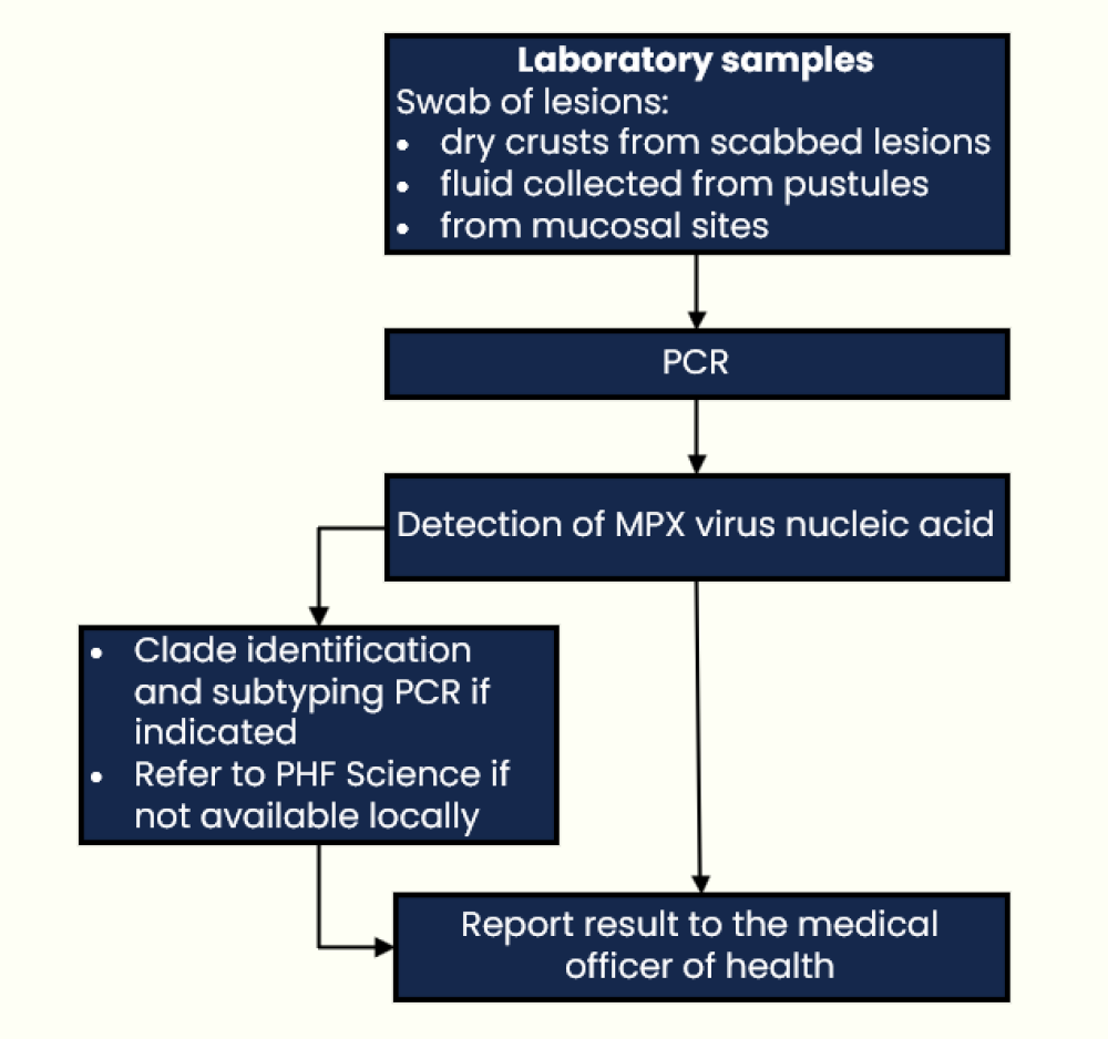 Direct laboratory notification flowchart for mpox