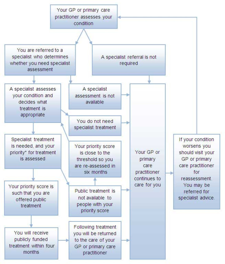 Flow diagram outlining the basic steps in the Planned Care process